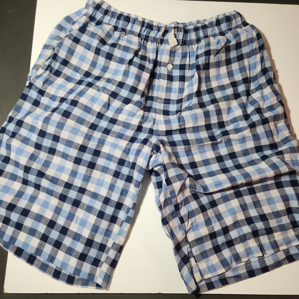 Blue and White Checkered Men's Shorts